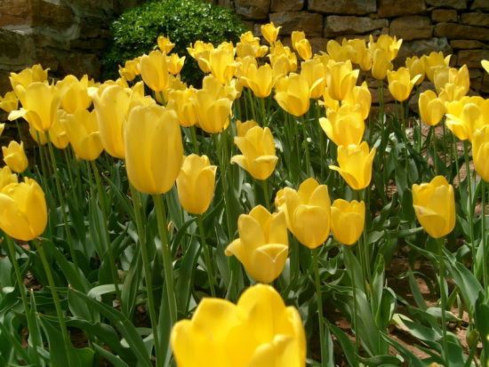 秋天适合去哪里旅游?济南有什么好玩的地方?