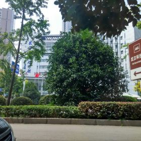 武汉科技馆门票,武汉武汉科技馆攻略\/地址\/图片