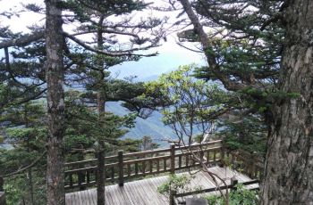 【携程攻略】神农架神龙顶景区交通路线,怎么