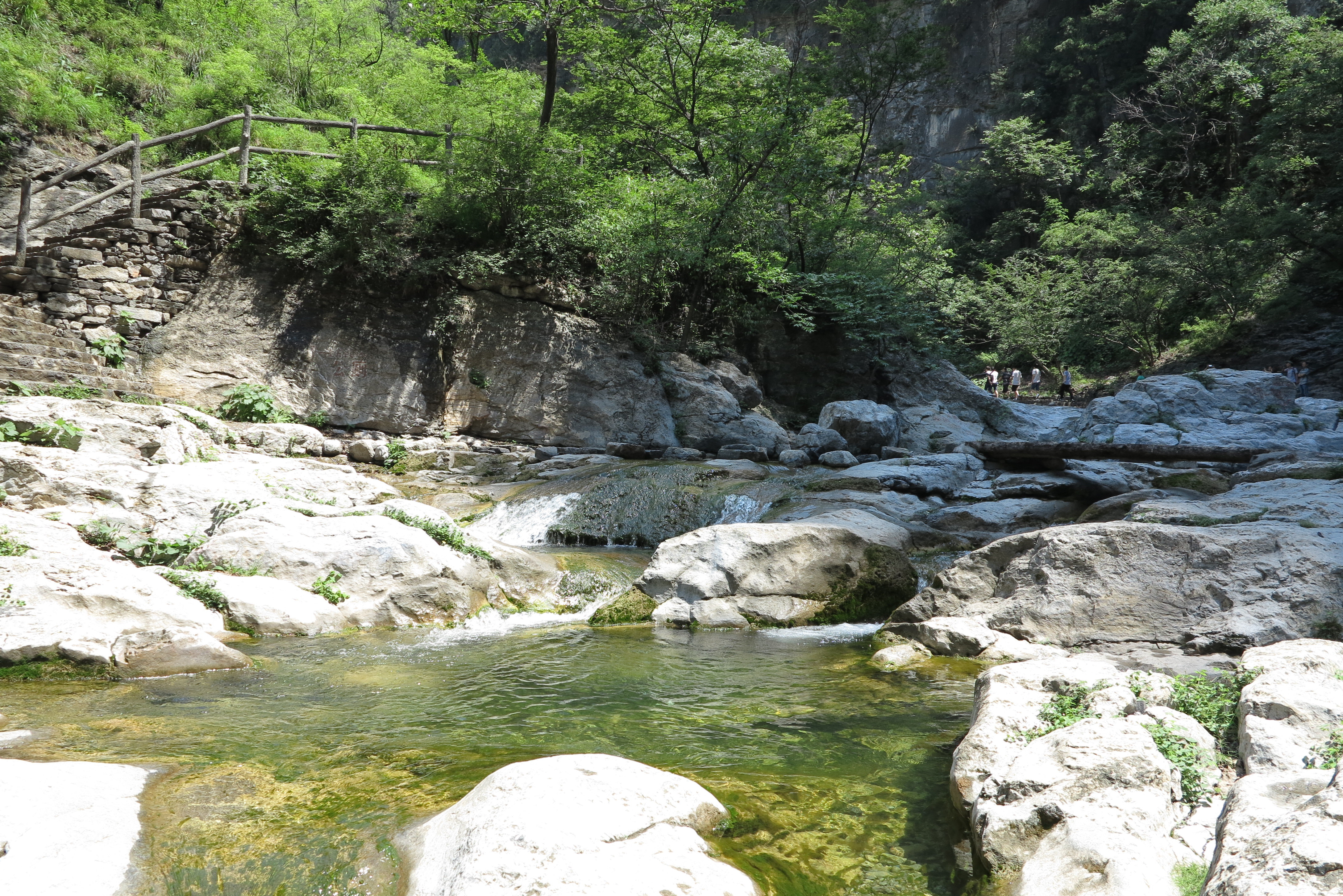 蟒河自然保护区