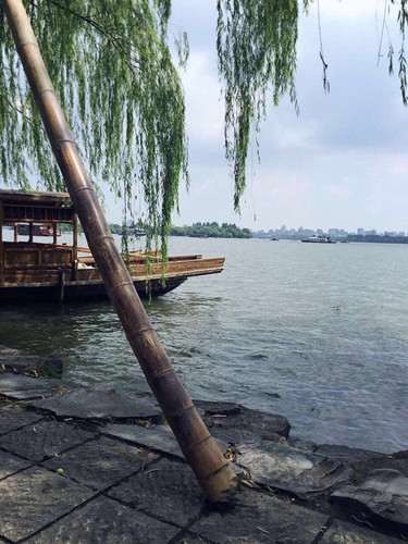 雨碎上海-海量攻略(南京江南无锡苏州杭州乌紫鹊界住宿图片图片