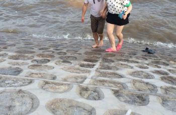 海滨浴场,天津海滨浴场攻略\/地址\/图片\/门票