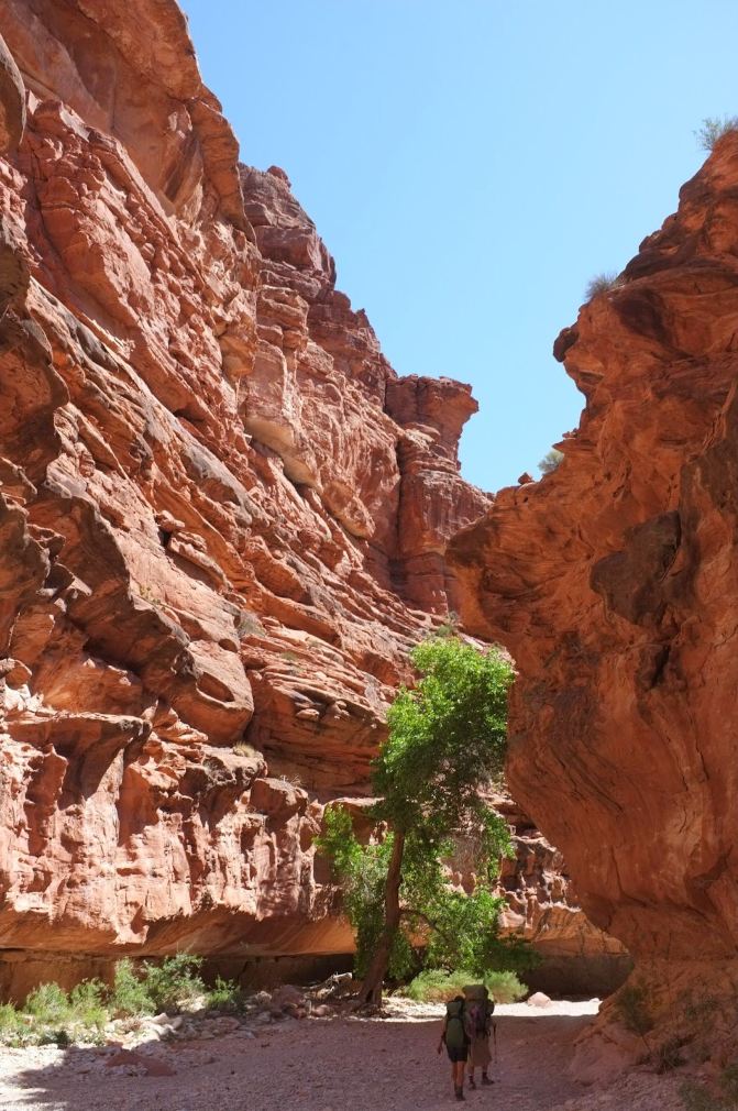 大峡谷驮兽 (上) 来到营地 - 美国大峡谷游记攻略