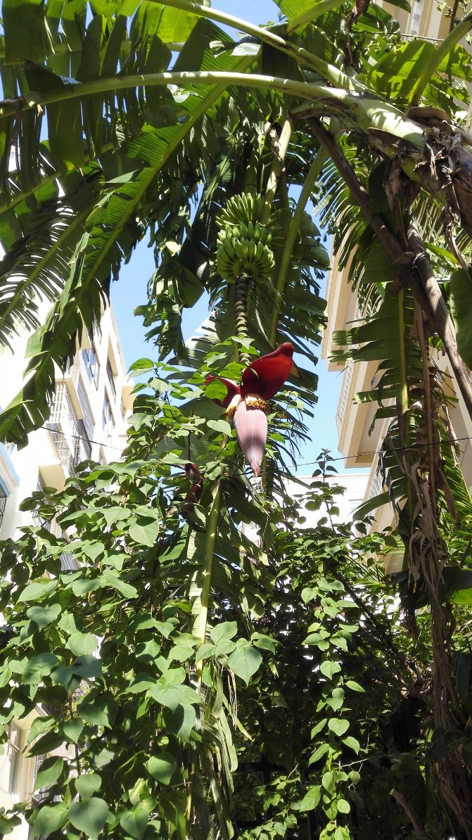 去三亚如何避开人群,如何住好酒店很便宜 - 三