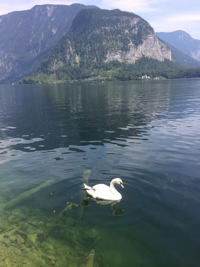 奥地利魅力小镇--哈尔施塔特 - 哈尔施塔特游记