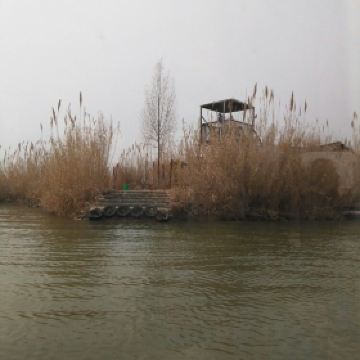 泗洪洪泽湖湿地公园_泗洪湿地公园门票收入(2)