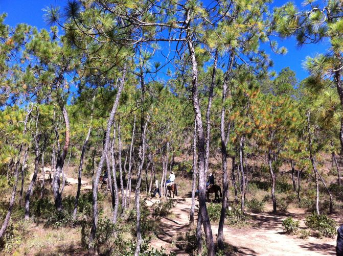 #11#云梦萦绕之初游云南 - 丽江游记攻略