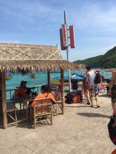 【携程攻略】芭提雅格兰岛图片,芭提雅格兰岛