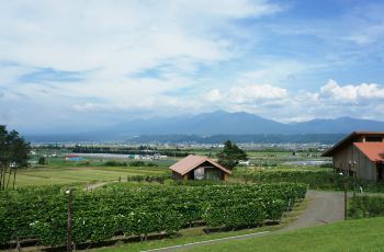 【携程攻略】富良野葡萄酒厂门票,富良野葡萄