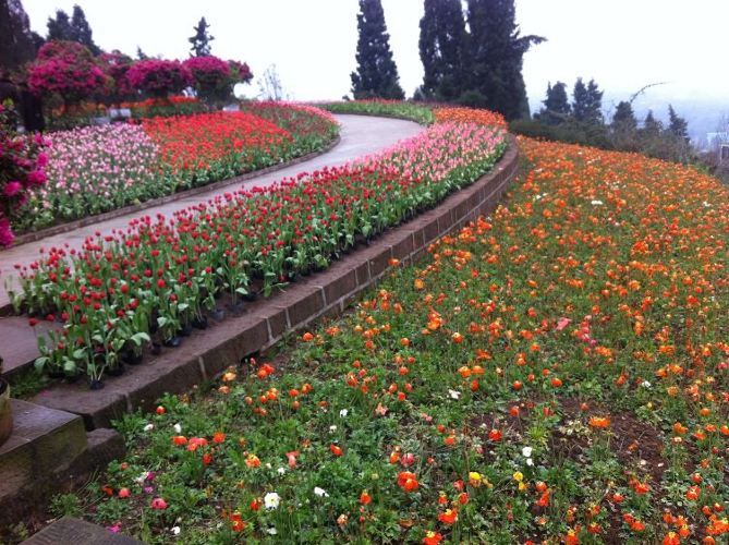 2015的足迹:游必有方 - 眉山游记攻略【携程攻