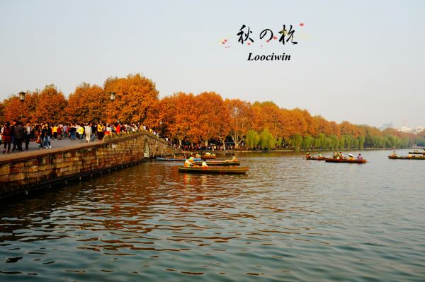 十一月的杭州人不是太多,不会桥上也没有太挤,这样的西湖很舒服 断桥