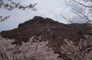 灵鹫山