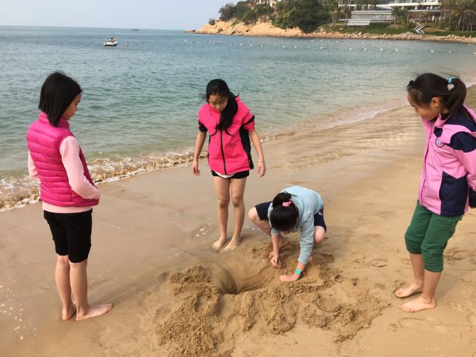 东澳岛Club Med4日+深圳1日亲子游之自由行 