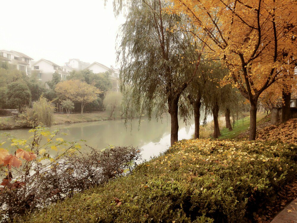 扬州人游扬州-漕河秋景