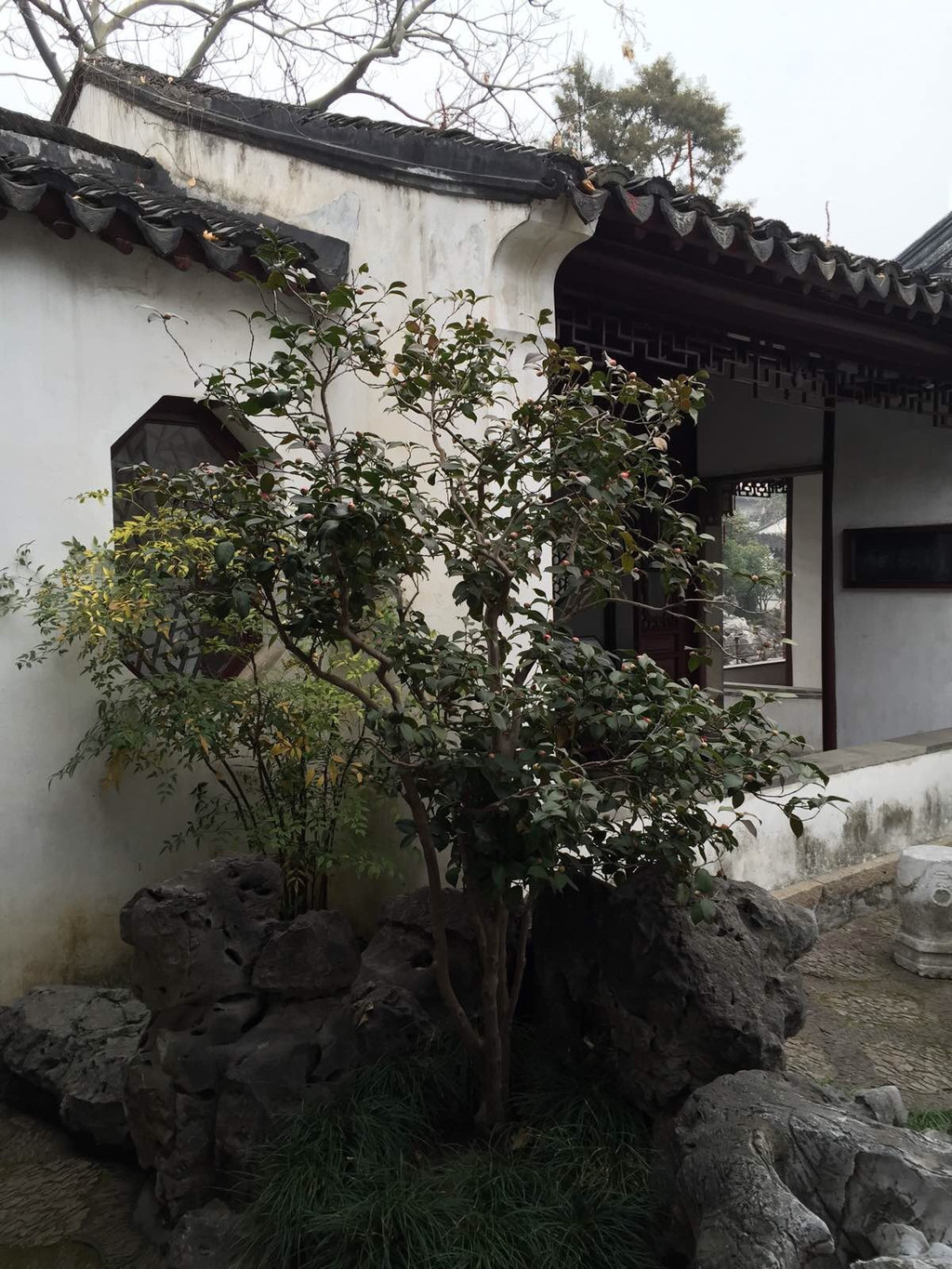 苏州曲园·怡园
