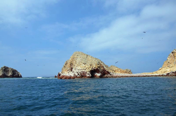 岛屿高处堪称海鸟的天堂,岛上大量鸟粪,为优质肥料,是19世纪秘鲁开发