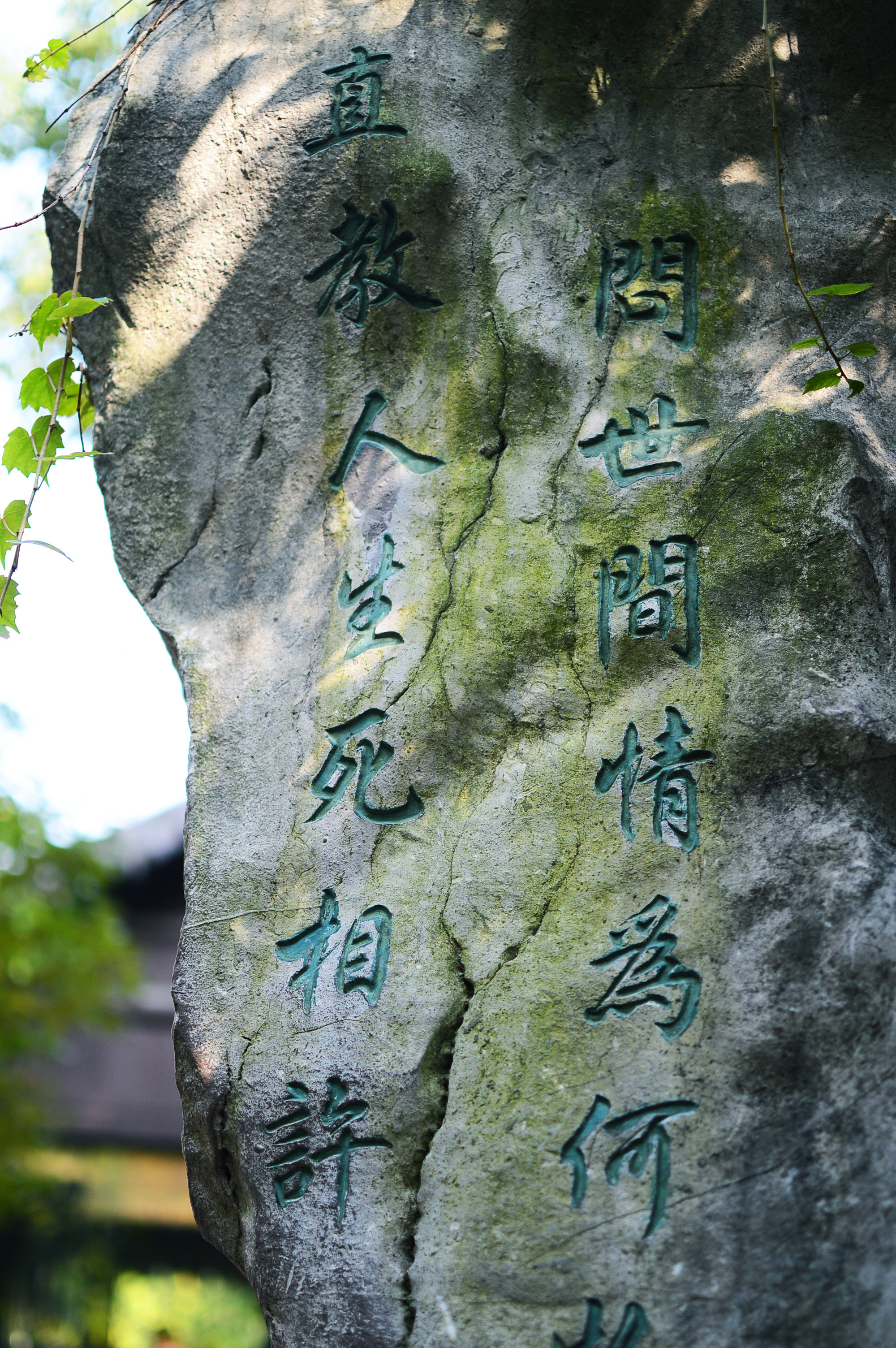 问世间情为何物,直教人生死相许 沈园