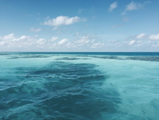 浮潜的天堂 马代Lily岛 - 马尔代夫游记攻略