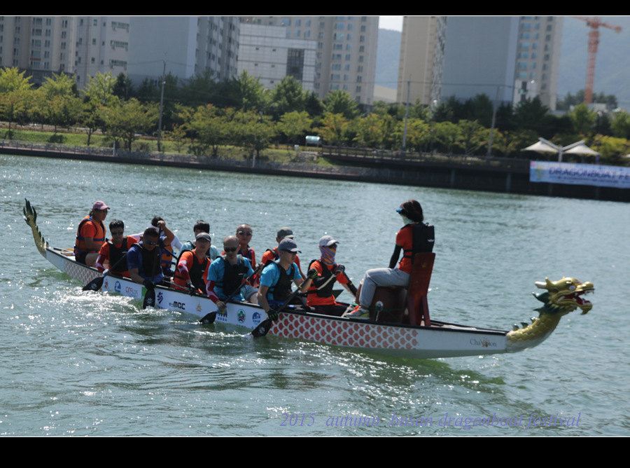 2015 autumn busan dragonboat festival