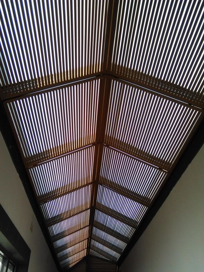 一个人的苏杭 - 乌镇游记攻略