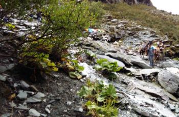 【携程攻略】哈尔滨太平国际机场介绍,哈尔滨