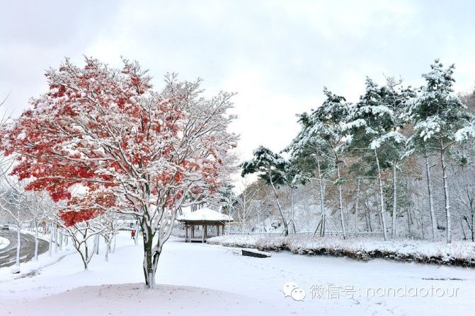 韩国全罗南道和顺的秋去冬来之际,竟美得如此