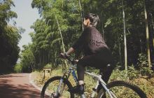 宜兴景点推荐,旅游景点排行,宜兴景点大全【携