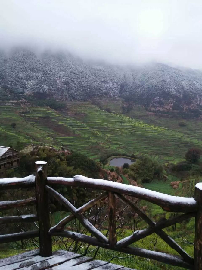 当雪花遇上油菜花-2016年3月春天,婺源又下雪