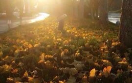 盐城中国海盐博物馆天气预报,历史气温,旅游指