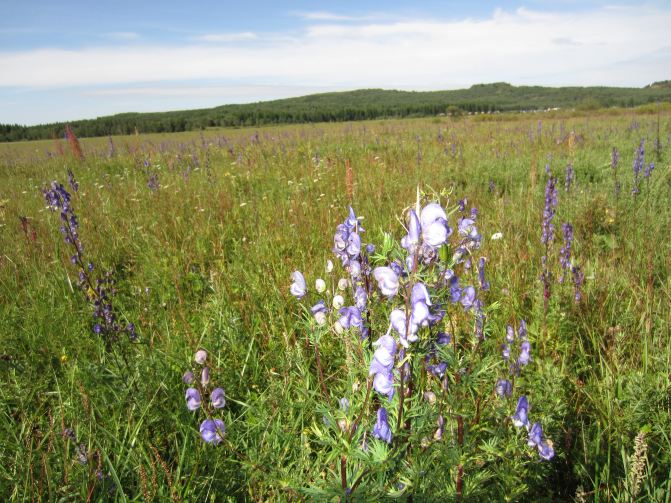 避暑山庄-木兰围场自驾三日游(天津出发) - 围场