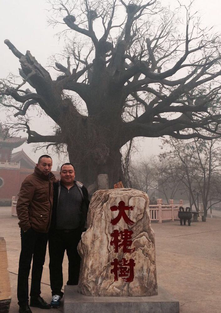 问我祖先在何处 山西洪桐大槐树