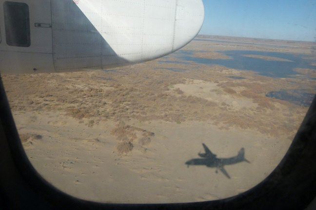 额济纳旗:金色胡杨林,冻人居延海,风沙黑城怪树