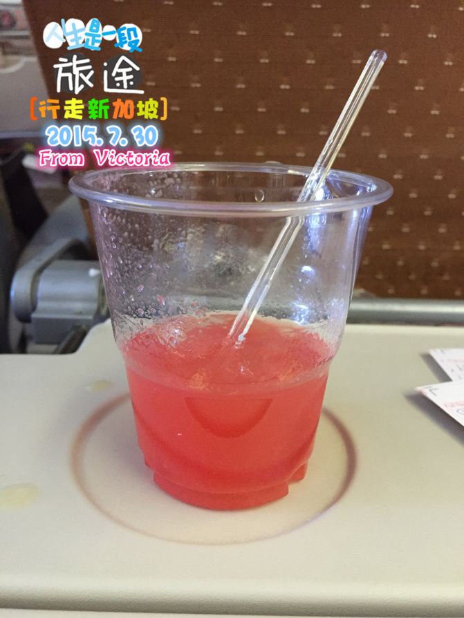 2015超级好玩新加坡马来西亚团购六天游铜元道美食攻略亲子图片