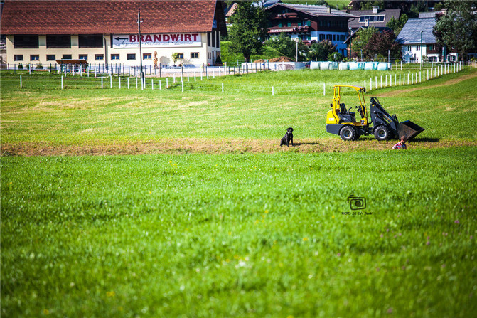 德国、奥地利、瑞士、捷克3000公里自驾-我和