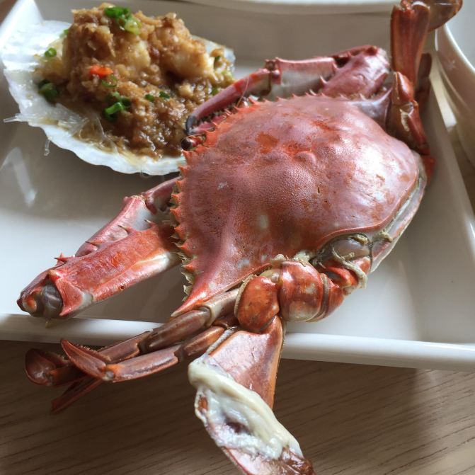 大连,再无往日的城市之美,唯有海鲜美食依旧-代表性各个美食大气图片