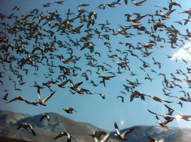 张掖-敦煌-青海湖-宝鸡12天自驾游 - 张掖游记攻略