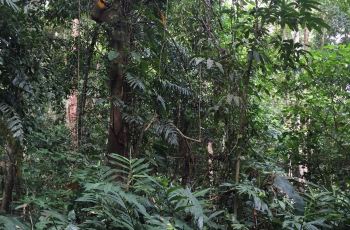 【携程攻略】西双版纳嘎洒国际机场电话查询,