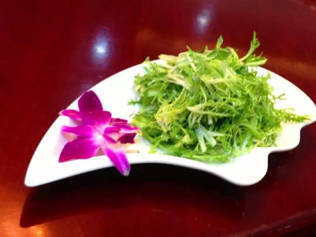 野塘蒿又叫野菊