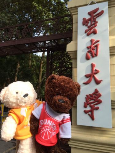 滇 - 西双版纳游记攻略