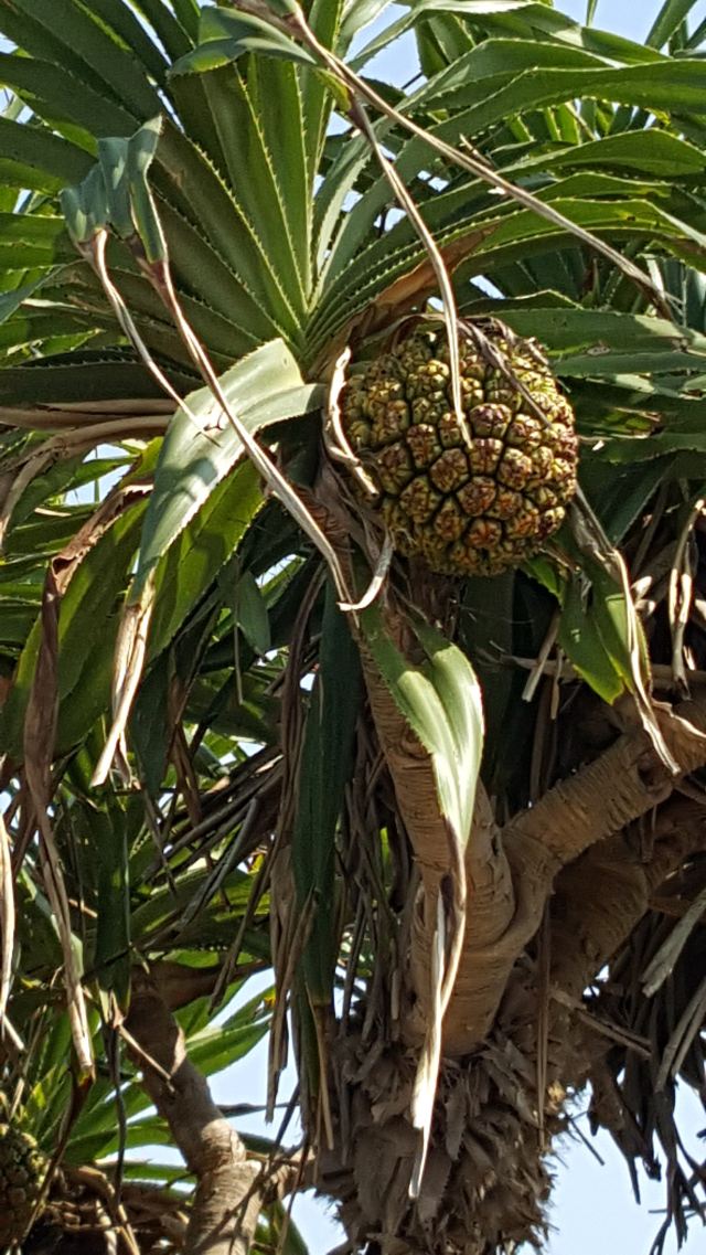 宝岛台湾,吃货的天堂,购物无极限