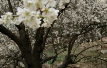 03月18日郧西天气预报:小雨 气温: 9℃~13℃【