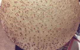 重庆三峡广场天气预报,历史气温,旅游指数,三峡