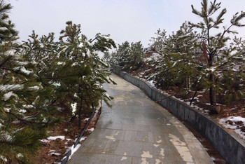 太原东山五龙城郊森林公园                  