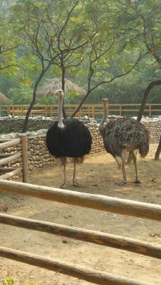 【携程攻略】北京北京野生动物园图片,北京北
