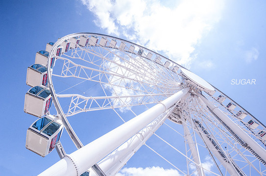 用18-200拉近摩天轮,不用坐我也能看到维港的美景.