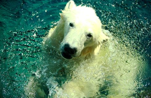 皇宫你好,小镇你也好 - 哈尔施塔特游记攻略【