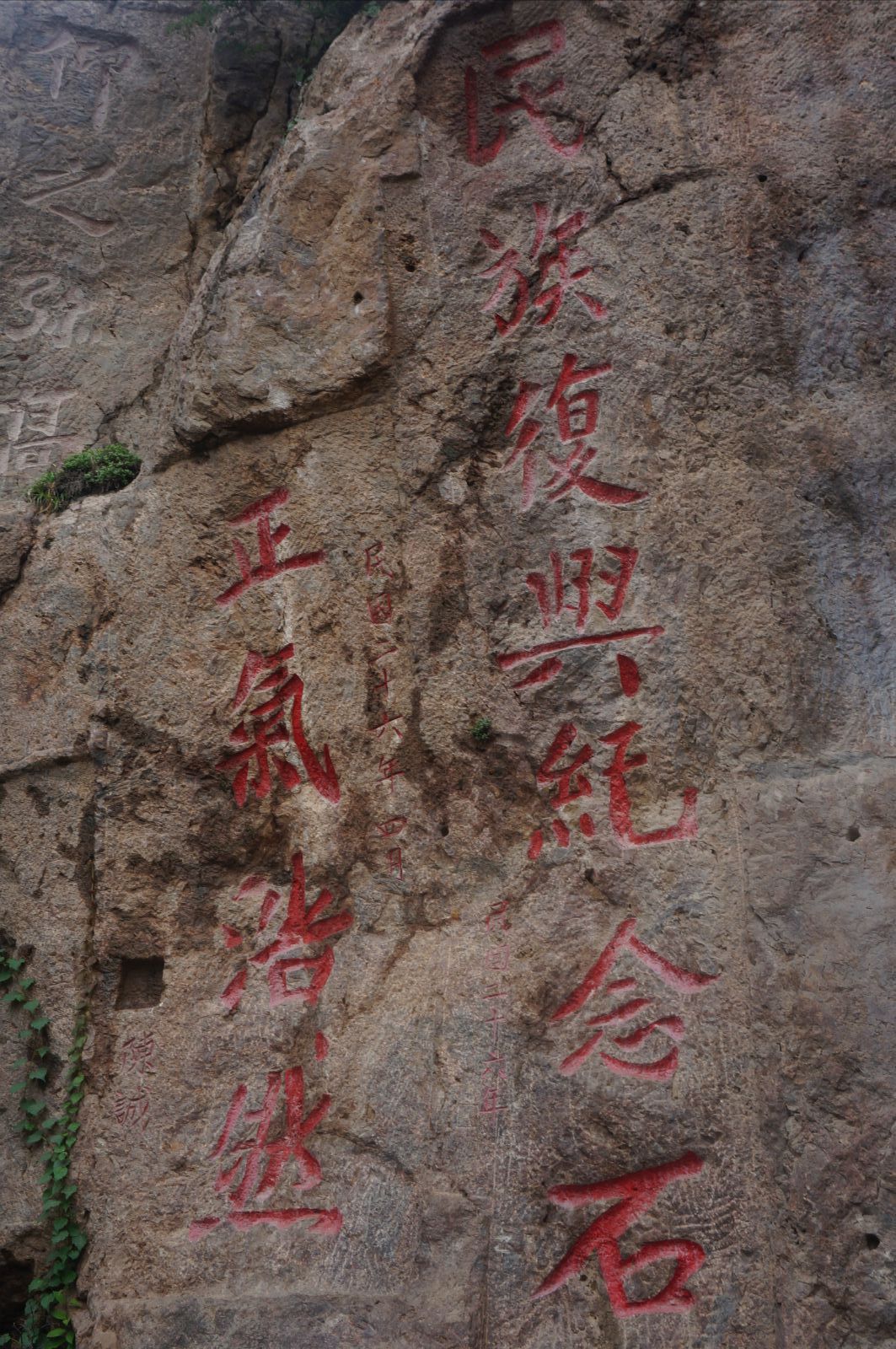 ɽ羰