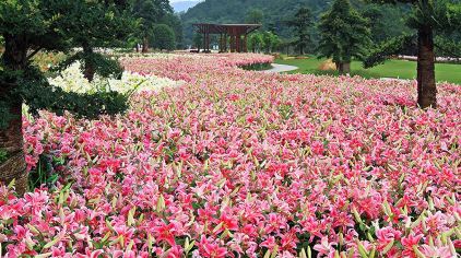 东钱湖南苑花博园门票预订_东钱湖南苑花博园门票价格