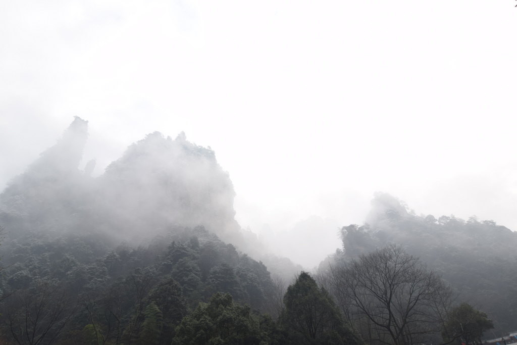 雨雾迷蒙张家界