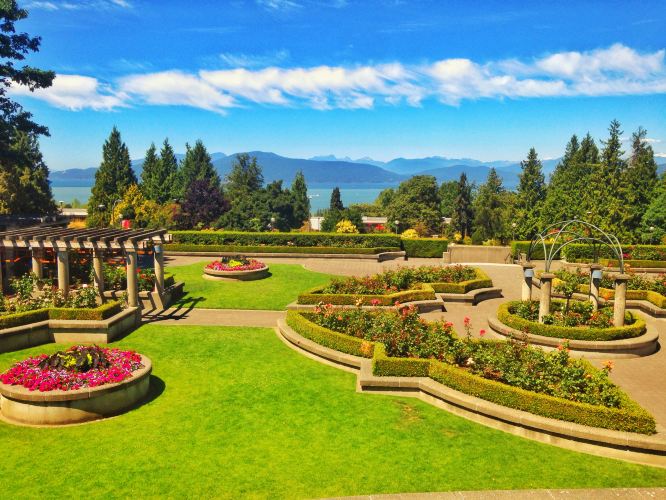 英属哥伦比亚_加拿大大学排名_多伦多大学 - k